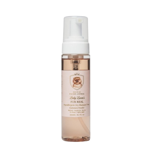 Luxury Prebiotic Dry Dog Shampoo | Odour Control |250ml