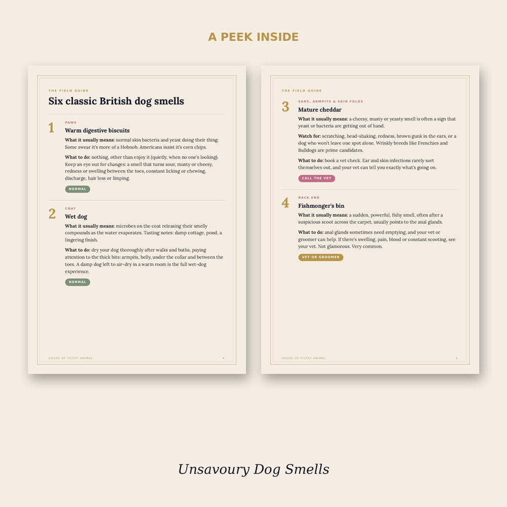 Preview pages from the printable guide to unsavoury dog smells