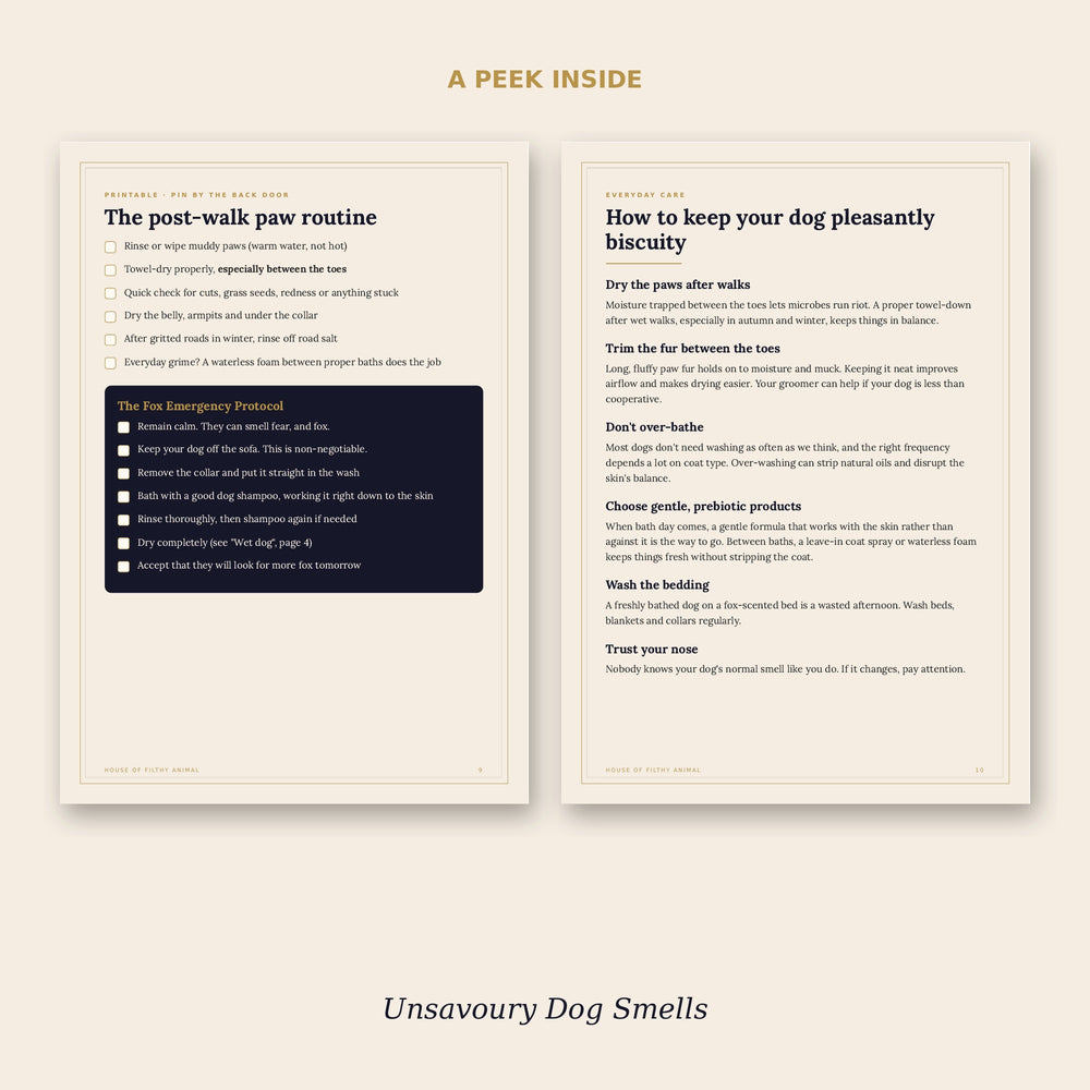 Preview pages: weekly dog sniff tracker and post-walk paw routine