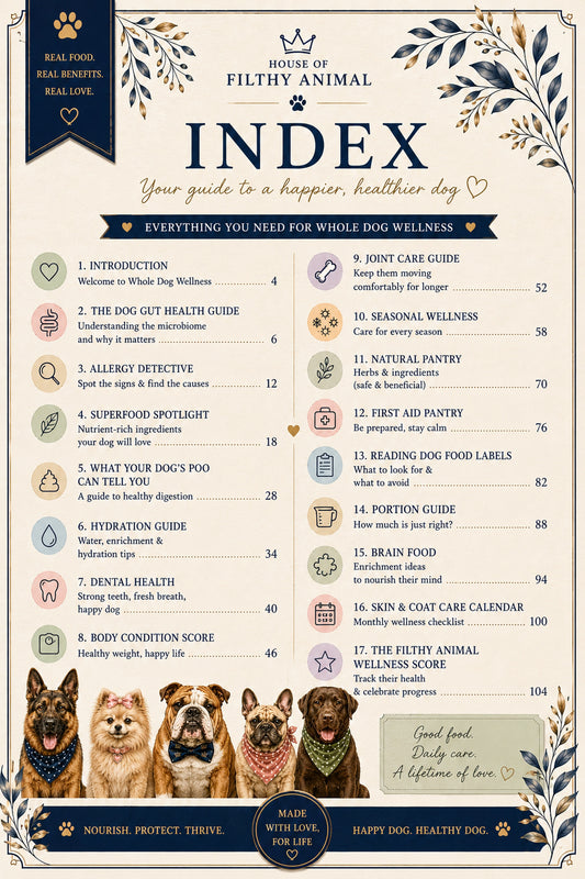 What's inside The Dog Wellness Guide digital download