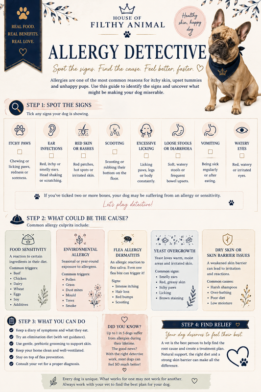 A detailed breakdown of common dog allergies, how to spot them and what to look for.