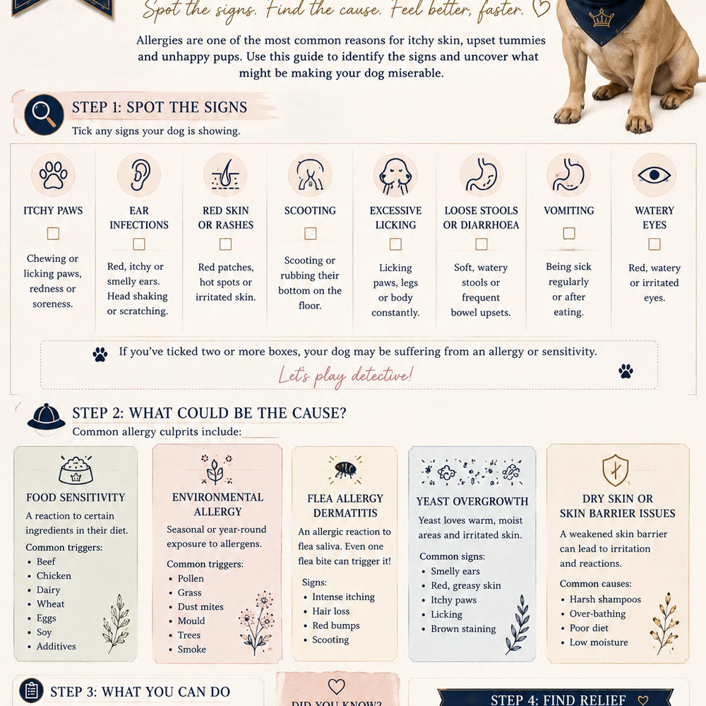 A detailed breakdown of common dog allergies, how to spot them and what to look for.