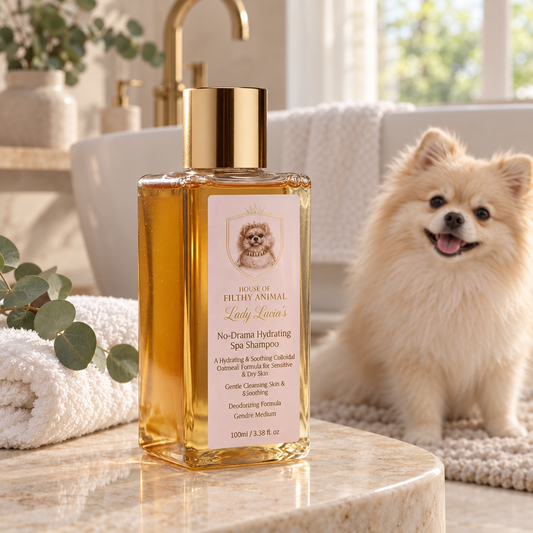 Lady Lucia's hypoallergenic prebiotic dog shampoo