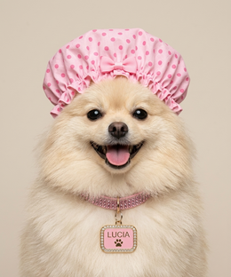LADY LUCIA