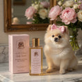 Luxury Prebiotic Dog Shampoo | Hypoallergenic | Odour Control | 200ml
