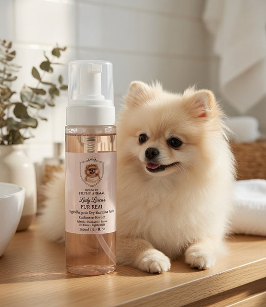 Luxury Prebiotic Dry Dog Shampoo  | Odour Control |250ml