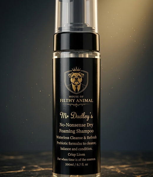 Prebiotic Dry Shampoo for Dogs| Hypoallergenic | Odour control | 250ml