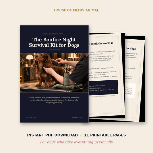 The Bonfire Night Survival Kit for Dogs printable PDF cover with a dachshund being groomed