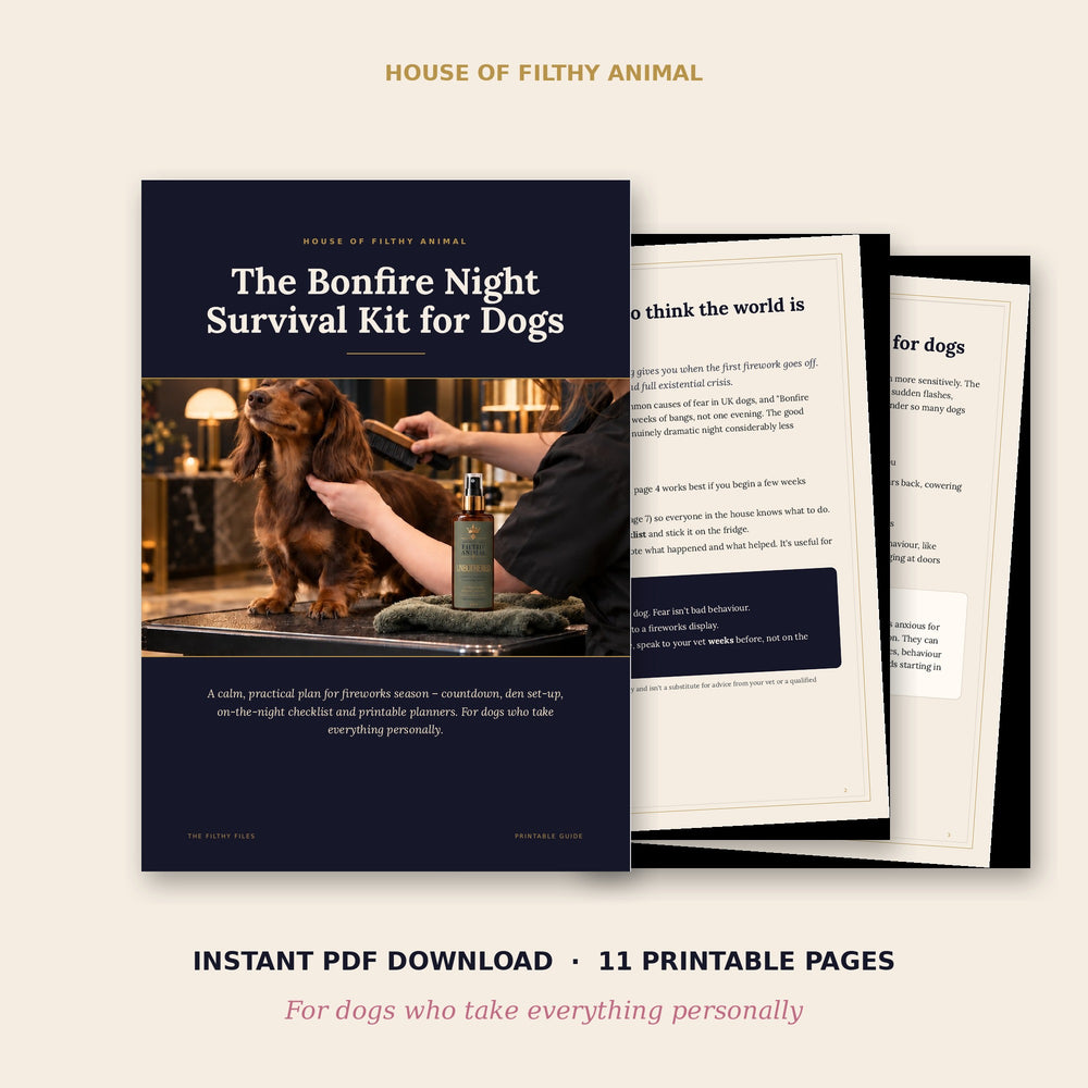 The Bonfire Night Survival Kit for Dogs printable PDF cover with a dachshund being groomed