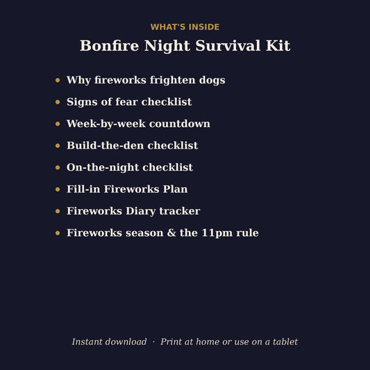 What's inside the Bonfire Night Survival Kit: fireworks countdown, den checklist, fireworks plan and diary