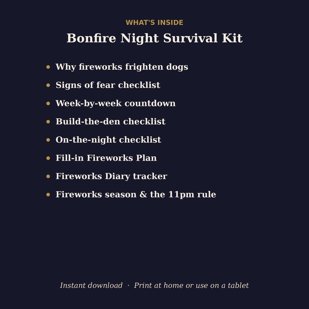 What's inside the Bonfire Night Survival Kit: fireworks countdown, den checklist, fireworks plan and diary