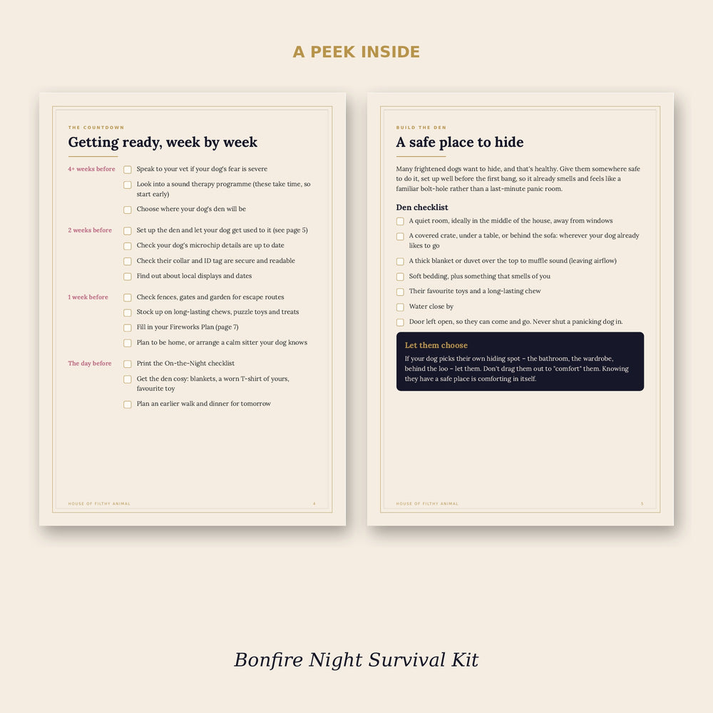 Preview pages from the printable Bonfire Night dog fireworks plan