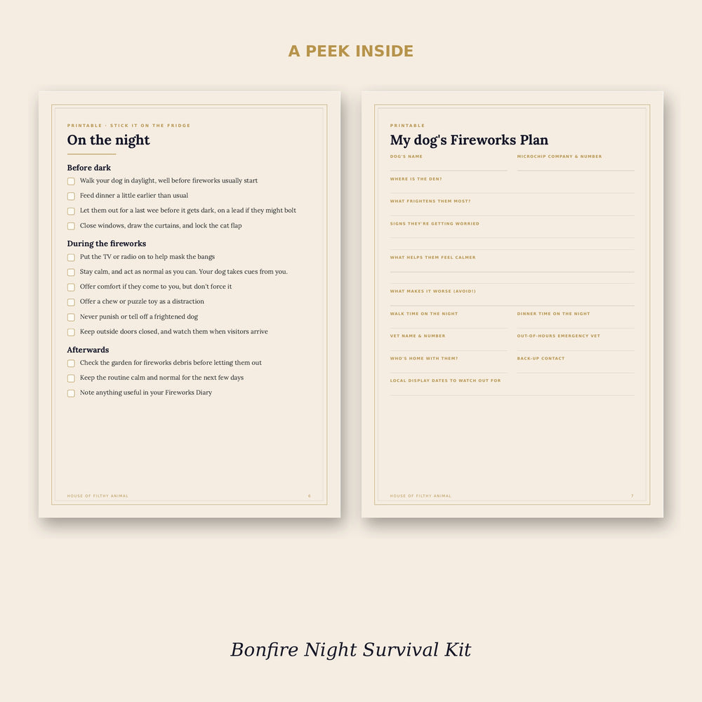Preview pages: on-the-night fireworks checklist for dogs and fill-in plan