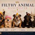 The Unbothered Glow-Up | Waterless Dog Grooming Event at Deansgate Square, Manchester | Mon 2 Nov