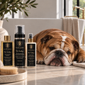 Mr Dudley's Prebiotic Dry Shampoo Glow-Up Kit for Dogs | 250ml